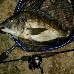 ストラクチャー際