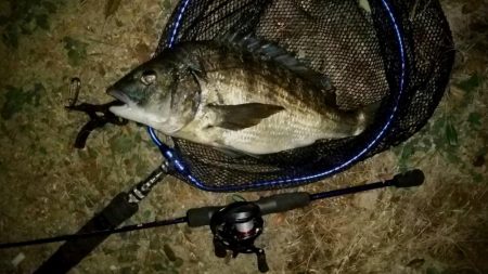 ストラクチャー際