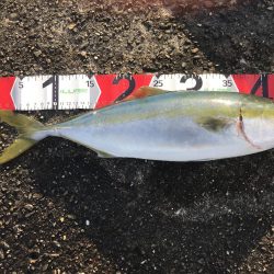 風が強くて厳しいー