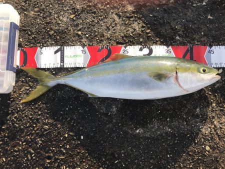 風が強くて厳しいー