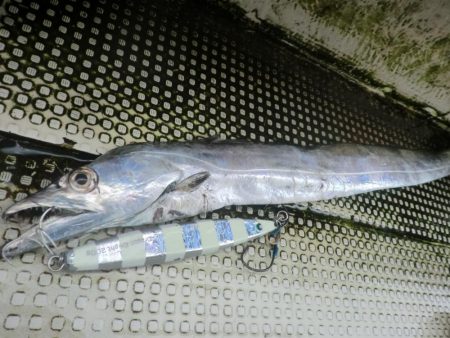 【リタックル】にて神戸沖タチウオジギング