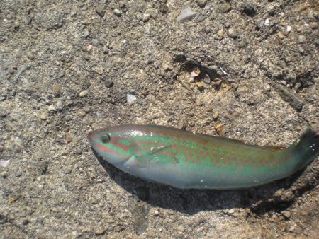 また林崎漁港へ