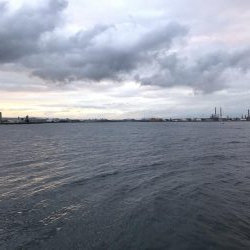 自作ジクの実験