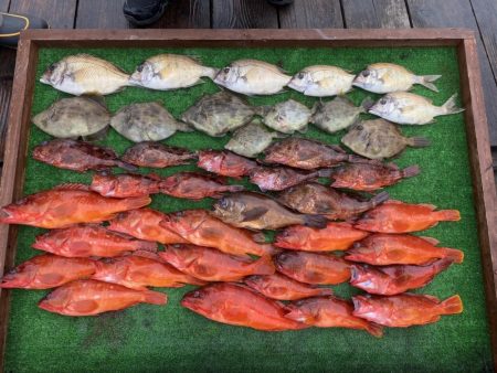 ボートロックフィッシュ