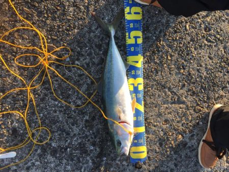 ショアジギング