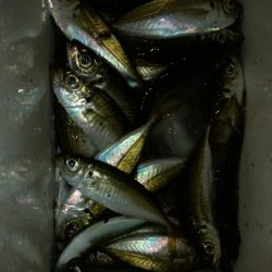 外出禁止の前に