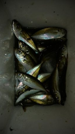 外出禁止の前に