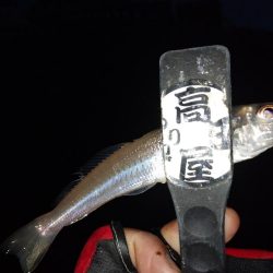 ライトキャロちょい投げ