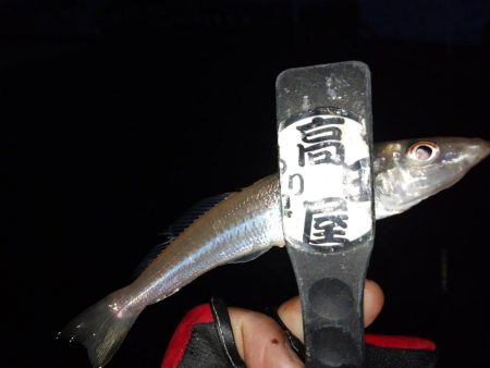 ライトキャロちょい投げ