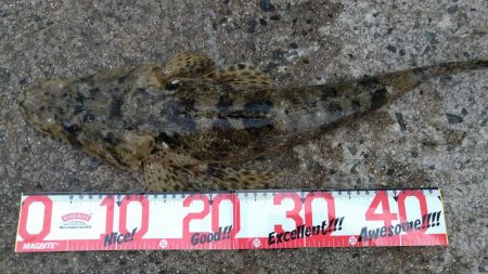 突然の引き‼️…