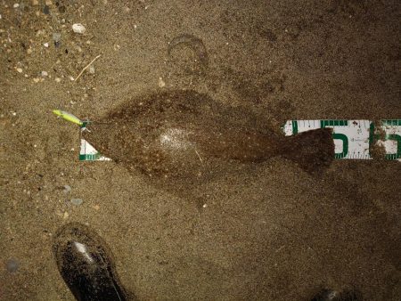 鈴鹿サーフと津の堤防にて