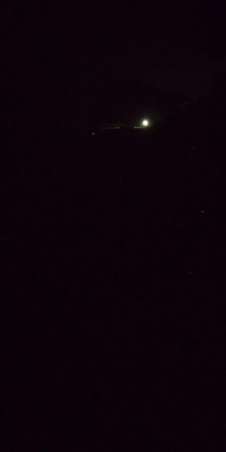 大半の時間無反応。