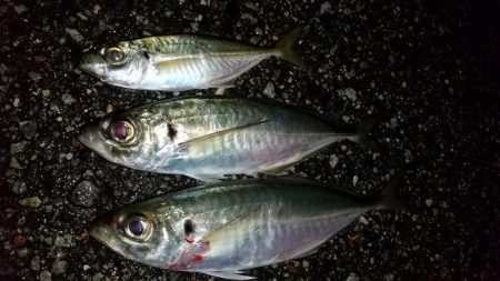 ボトムべったり