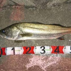 開始早々に結果が出る