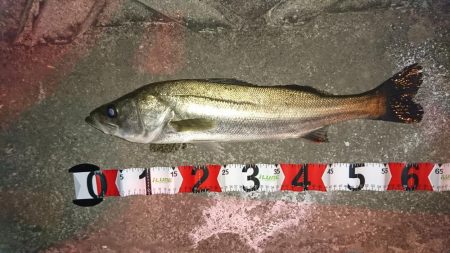 開始早々に結果が出る