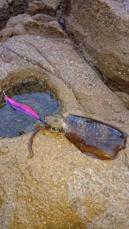 くやしいです(　ＴДＴ)