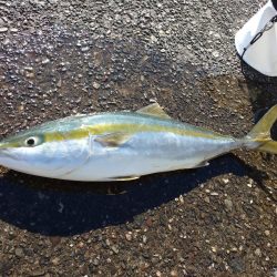 ショアジギング