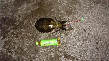 先週より当たりが少し少なかった。