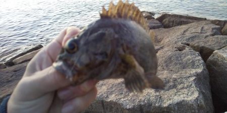 ライトロックで行こう