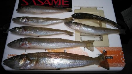 強風の江井ヶ島釣行