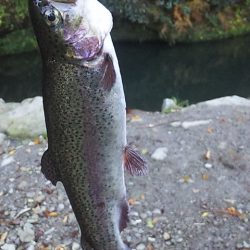 管理渓流釣り場