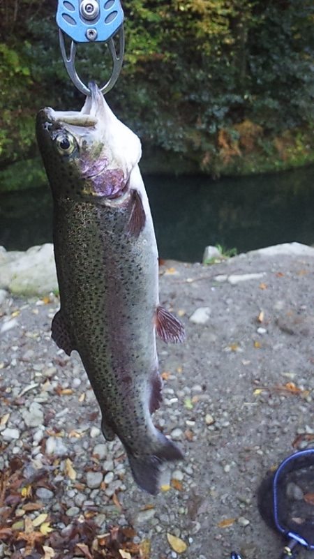 管理渓流釣り場