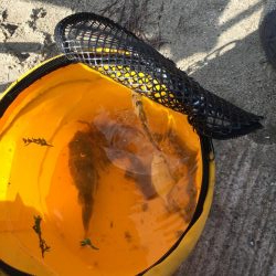 ファミリーフィッシング2