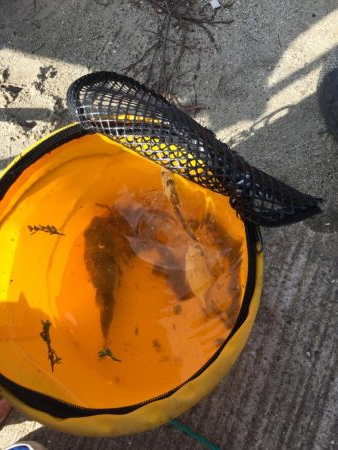 ファミリーフィッシング2