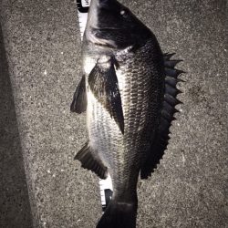 イチノ兄弟、釣果！