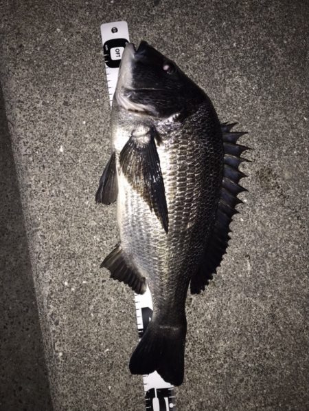 イチノ兄弟、釣果！