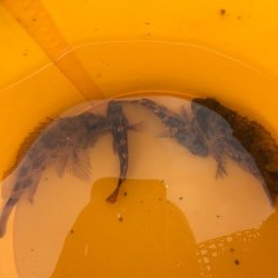 ファミリーフィッシング5