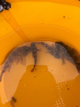 ファミリーフィッシング5