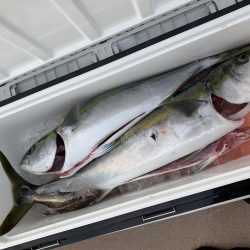 丹後沖ジギング