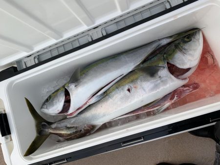 丹後沖ジギング