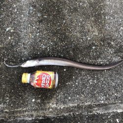 寝てる間に。。。