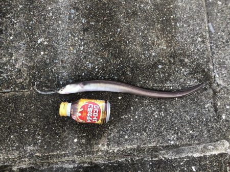 寝てる間に。。。