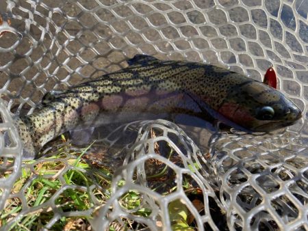 黒保根フィッシングエリア