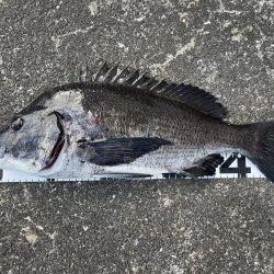 イチノ兄弟、釣果！