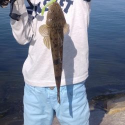 フラットフィッシュゲーム