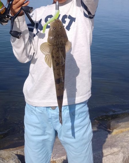 フラットフィッシュゲーム