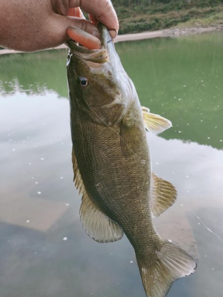 晩秋川バス釣行