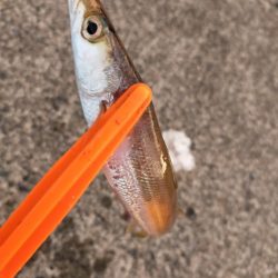 10分チャレンジ