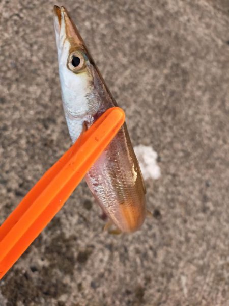 10分チャレンジ