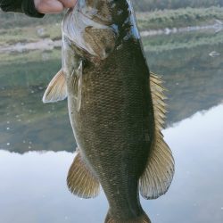 晩秋川バス釣行2