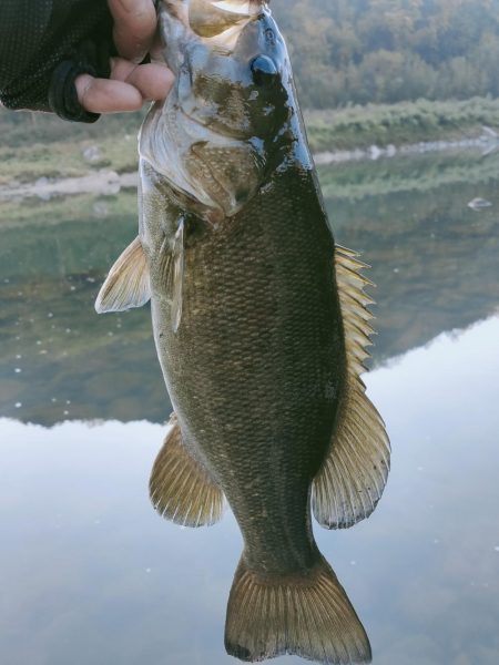 晩秋川バス釣行2