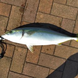 何の予兆もなく