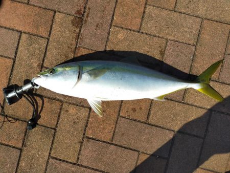 何の予兆もなく