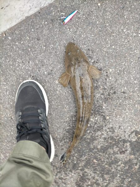 1週間ぶりの釣り