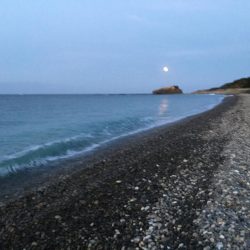 アイゴ、メッキ、コバンアジ、シマイサキ