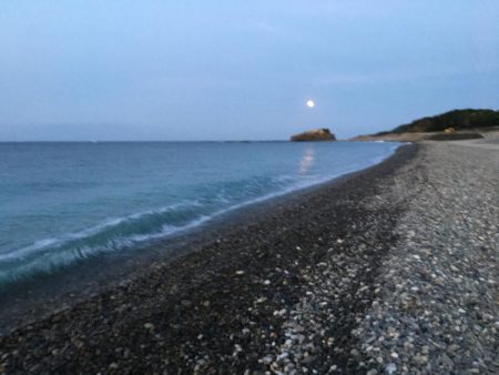 アイゴ、メッキ、コバンアジ、シマイサキ